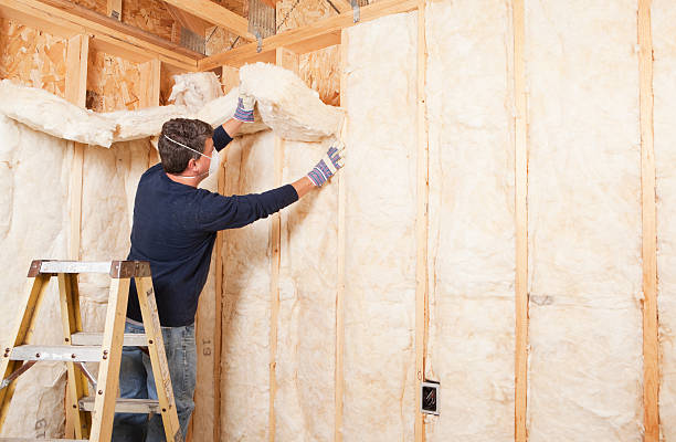 Best Attic Insulation Installation in Great Bend, NY